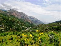 Sarpkaya Barajı ve Doğa